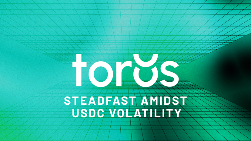 Toros Products Steadfast Amidst USDC Volatility: How Each Product Was Affected
